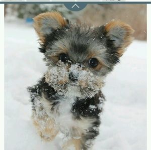 Meet your Posher, Tina